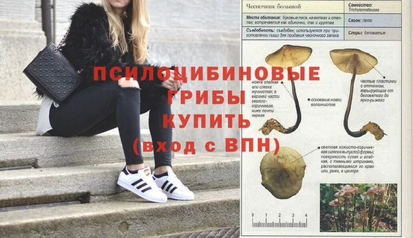 мдпв Яровое
