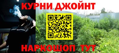 гидра Кинель
