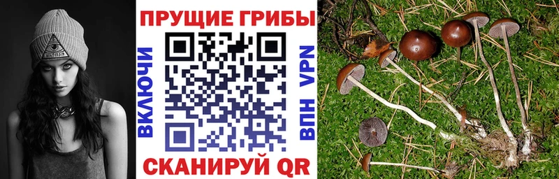 купить наркотик Обь Галлюциногенные грибы мухоморы